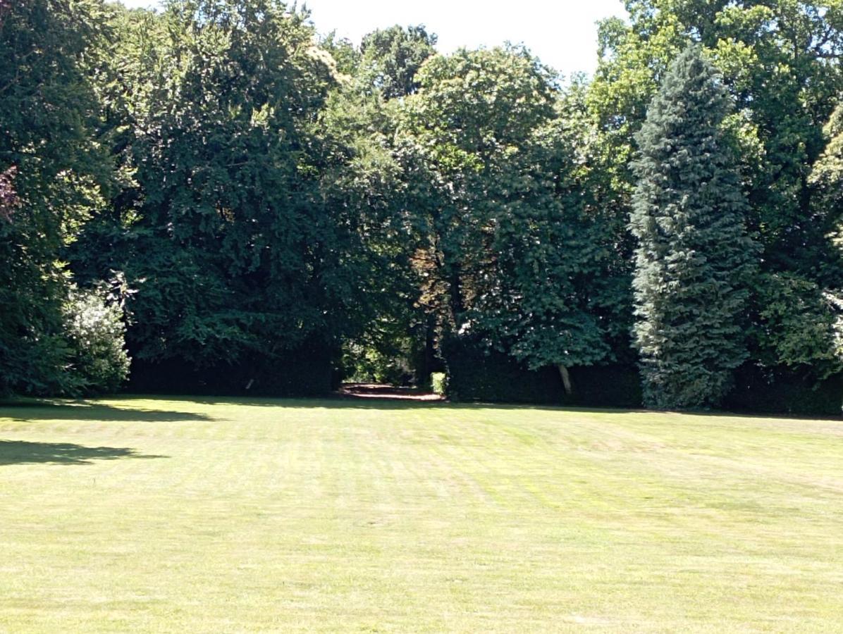 Chateau Du Bois-Riou Quévert Extérieur photo